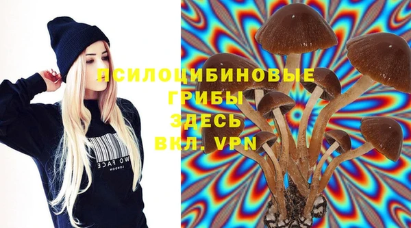прущая мука Кодинск