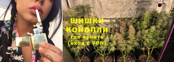 шишки Киреевск