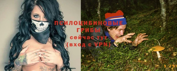 прущая мука Кодинск