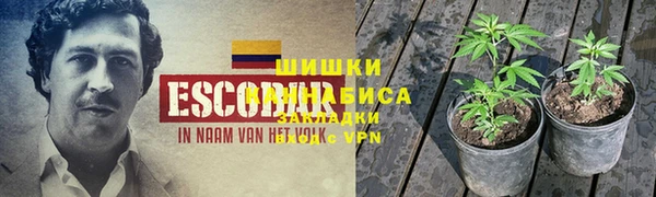 прущая мука Кодинск