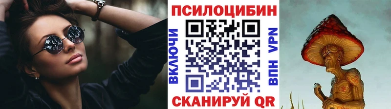 Купить где  Богданович  Псилоцибиновые грибы мухоморы 
